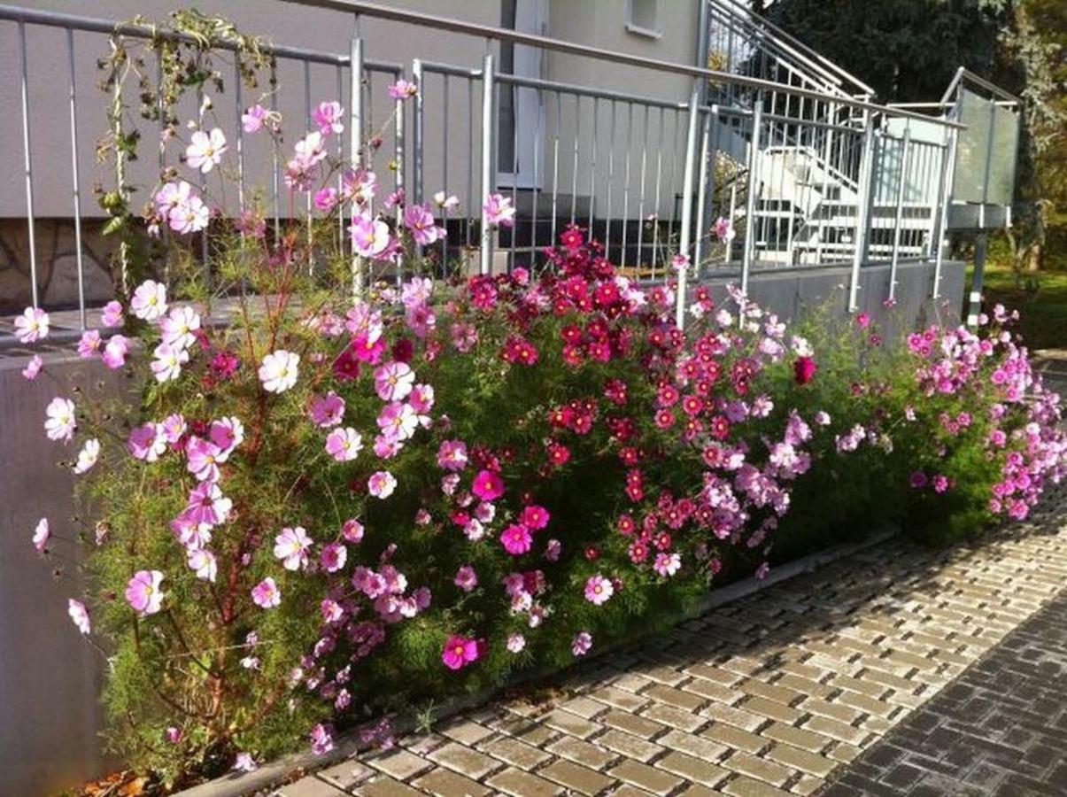 Offenheim Ferienwohnungen Haus Sauer מראה חיצוני תמונה